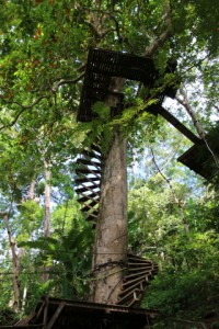 IMG_1255 Phuket 15          